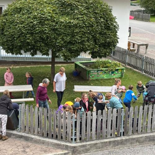 Wir ernten unsere Kartoffeln