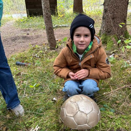 Pilze für den Zauberwald