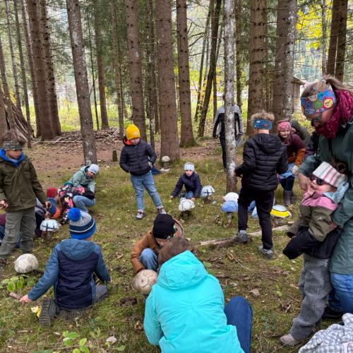 Pilze für den Zauberwald