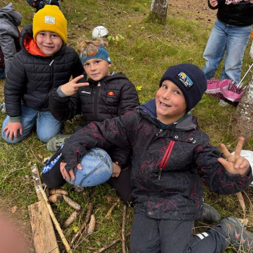 Pilze für den Zauberwald