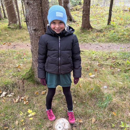 Pilze für den Zauberwald