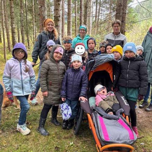 Pilze für den Zauberwald