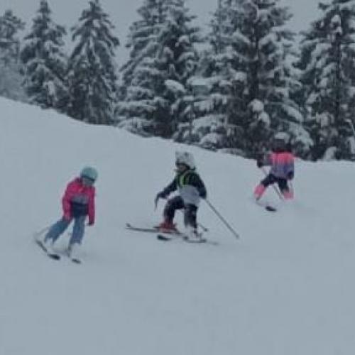 Skifahren
