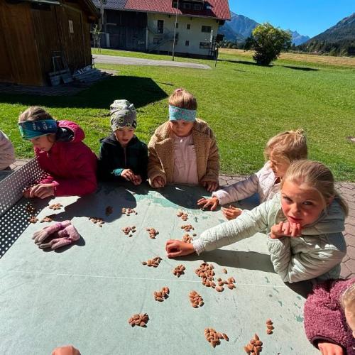 Marmelade